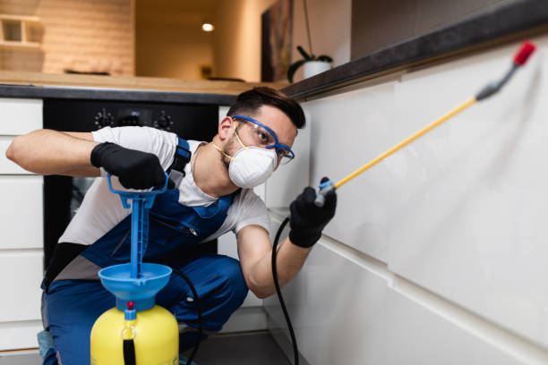 Professional Pest Control in Lewistown, MT