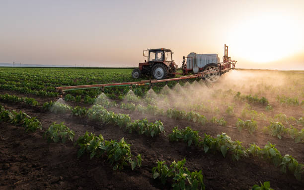 Best Ant Control Services  in Lewistown, MT
