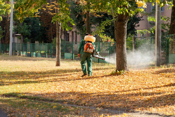 Best Flea Control Services  in Lewistown, MT